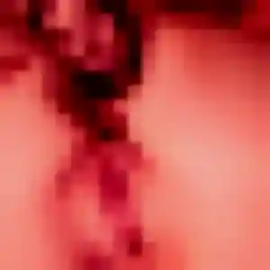 Photo perso de Caroline, 38 ans à Aire-sur-la-Lys - rencontre coquine
