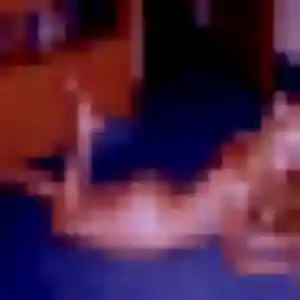 Dana, femme de 29 ans propose rencontre libertine à Aurillac