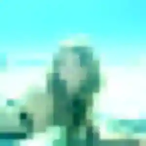 Photo perso de Anne-Laure, 26 ans à Boulogne-Billancourt - plan discret