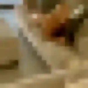 Mila, 34 ans, dispo pour rencontre libertine à Brest
