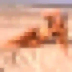 Belle Sylvie, 41 ans à Cabestany - voir sa photo