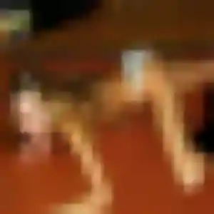 Découvre Helena, 31 ans à Cappelle-la-Grande gratuitement