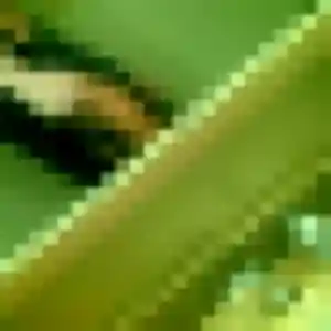 Sexy Leonore, 20 ans à Cenon - voir sa photo