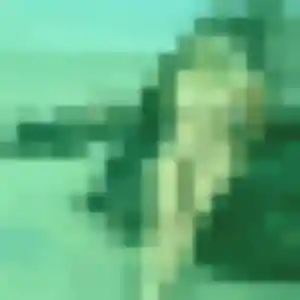 Sexy Sandrine, 37 ans à Châlette-sur-Loing - voir sa photo
