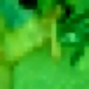 Quitterie (41 ans) à Charleville-Mézières cherche un rencontre libertine rapidement