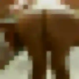 Sexy Karima, 24 ans à Combs-la-Ville - découvrir son profil