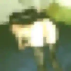 Contacte Isabelle, 26 ans à Condat-sur-Vienne en privé
