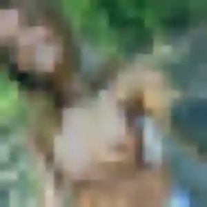 Odette, 36 ans, disponible à Courcelles-lès-Lens pour une rencontre coquine