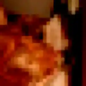 Photo sexy de Fleur, 34 ans à Dol-de-Bretagne - rencontre coquine