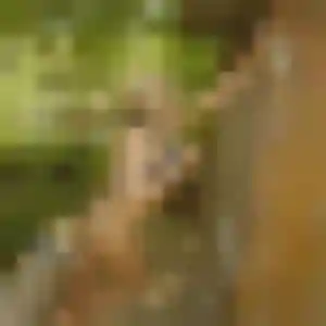 Laura de Enghien-les-Bains, 43 ans - rencontre libertine discret