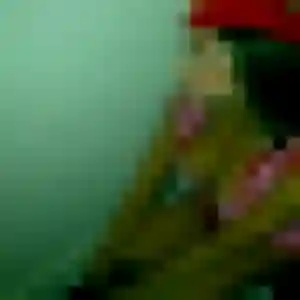 Photo privée de Kawtar, 19 ans à Flers-en-Escrebieux - rencontre sans lendemain