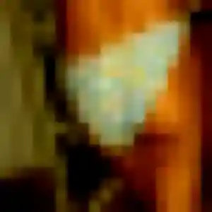 Audrey, femme de 23 ans cherche rencontre libertine à Floirac