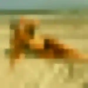 Clemence (25 ans) à Florange cherche une rencontre ce soir