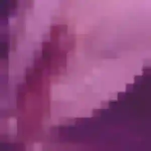 Joana, 39 ans, cherche un rencontre libertine à Gravelines