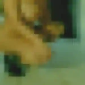 Faustine, 41 ans, disponible à Houdain pour une rencontre coquine
