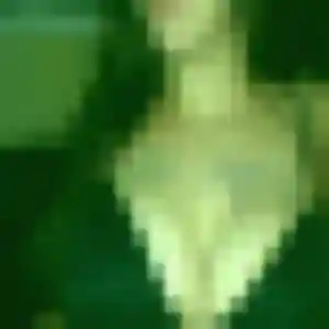 Quitterie, 40 ans, connectée à Illkirch-Graffenstaden pour une rencontre coquine