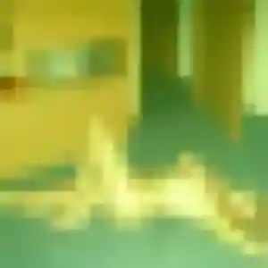 Photo exclusive de Ava, 25 ans à Kani-Kéli - rencontre coquine