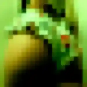 Albane, 29 ans, connectée à Le Bouscat pour une rencontre coquine