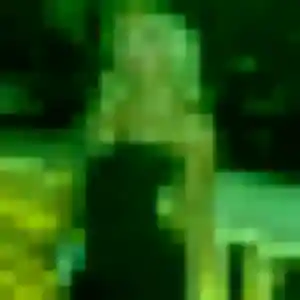Profil de Nelly à Le Mesnil-le-Roi (36 ans) - rencontre libertine gratuit