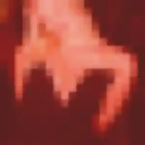 rencontre libertine à Longpont-sur-Orge : photo de Typhaine, 36 ans - accès libre
