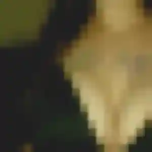 Victoire, 44 ans, dispo pour rencontre libertine à Longué-Jumelles