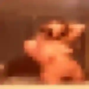 Photo privée de Oceane, 21 ans à Mauguio - rencontre coquine