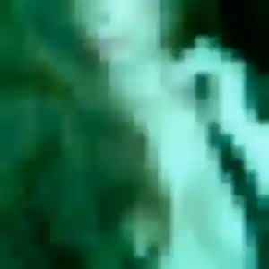 Sexy Amel, 33 ans à Mérignac - voir sa photo