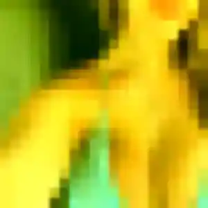 Photo de Mathilda à Merville (39 ans) - rencontre libertine anonyme