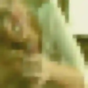 Profil de Patricia à Meximieux (29 ans) - rencontre libertine anonyme