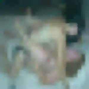 Rejoins Raphaelle, 41 ans à Moëlan-sur-Mer gratuitement