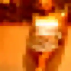 Jolie Fanny, 24 ans à Mont-Saint-Aignan - voir sa photo