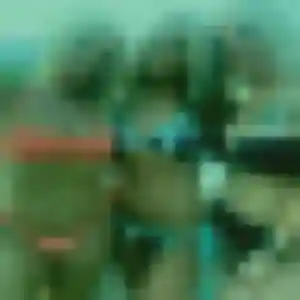 Blanche, fille de 20 ans cherche rencontre libertine à Montbonnot-Saint-Martin