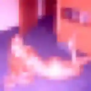 Alessandra, 34 ans, dispo pour rencontre libertine à Montrond-les-Bains