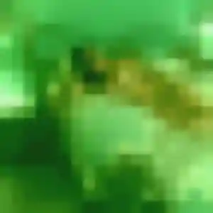 Photo privée de Ines, 29 ans à Mortagne-sur-Sèvre - rencontre sans lendemain