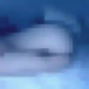 Photo de Axelle à Mougins (39 ans) - rencontre libertine anonyme