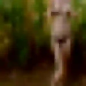 Gisele (41 ans) à Nanteuil-lès-Meaux attend un rencontre libertine ce soir
