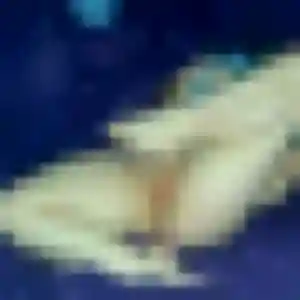 Katia, femme de 39 ans propose rencontre libertine à Nogent-sur-Oise