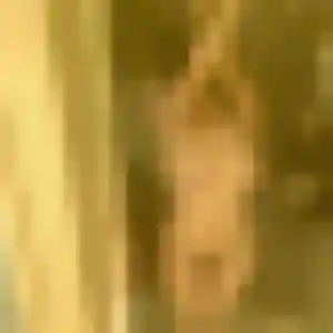 Janine de Nort-sur-Erdre, 32 ans - rencontre libertine discret