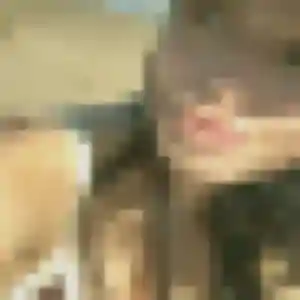 Isabelle, fille de 31 ans cherche rencontre libertine à Noyal-Châtillon-sur-Seiche