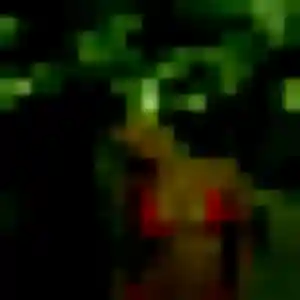 Photo de Celia à Ollainville (43 ans) - rencontre libertine anonyme