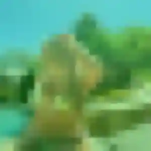 Photo de Alice à Onet-le-Château (42 ans) - rencontre libertine anonyme