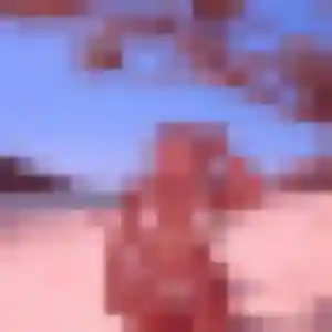 Photo privée de Dounia, 34 ans à Oye-Plage - plan discret