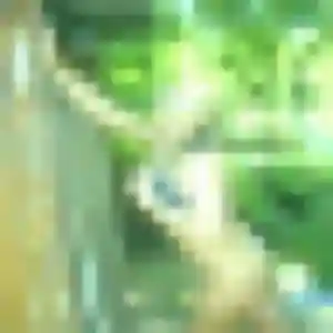 Cindy, 33 ans, dispo pour rencontre libertine à Petit-Caux