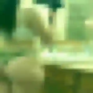 Photo sexy de Mia, 43 ans à Pont-Sainte-Maxence - rencontre coquine