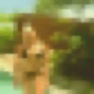 Photo de Catherine à Porto-Vecchio (30 ans) - rencontre libertine gratuit