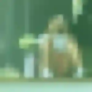 Photo perso de Judith, 34 ans à Quesnoy-sur-Deûle - plan discret