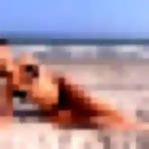 Profil de Anne à Rixheim (31 ans) - rencontre libertine gratuit