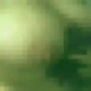 Découvre Margot, 41 ans à Saint-Cyprien en privé