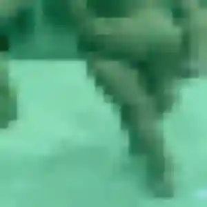 Photo sexy de Katia, 33 ans à Saint-Laurent-Blangy - plan discret
