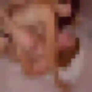 Urielle, 25 ans, connectée à Saintry-sur-Seine pour une rencontre coquine